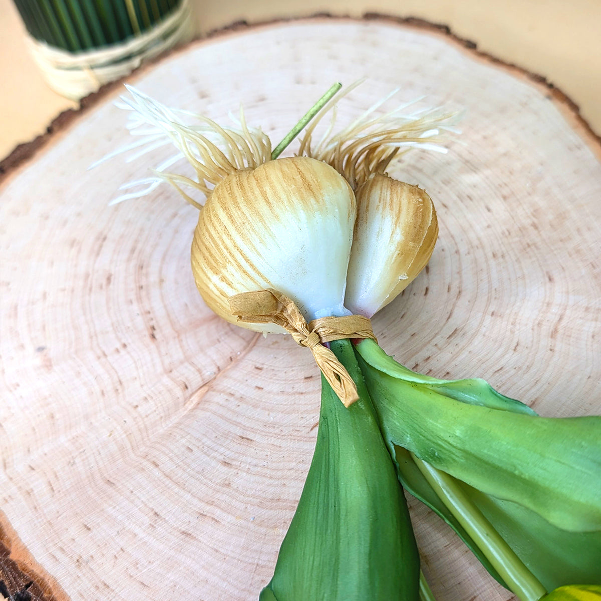 Nahaufnahme der weißen Zwiebel mit grünen Stielen und Blättern