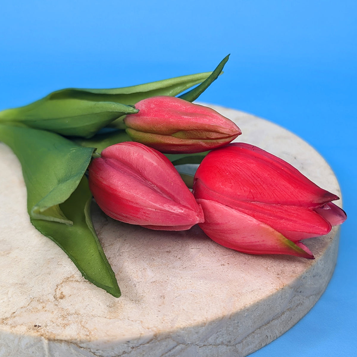 Nahaufnahme einer einzelnen Tulpenblüte aus Seidenstoff