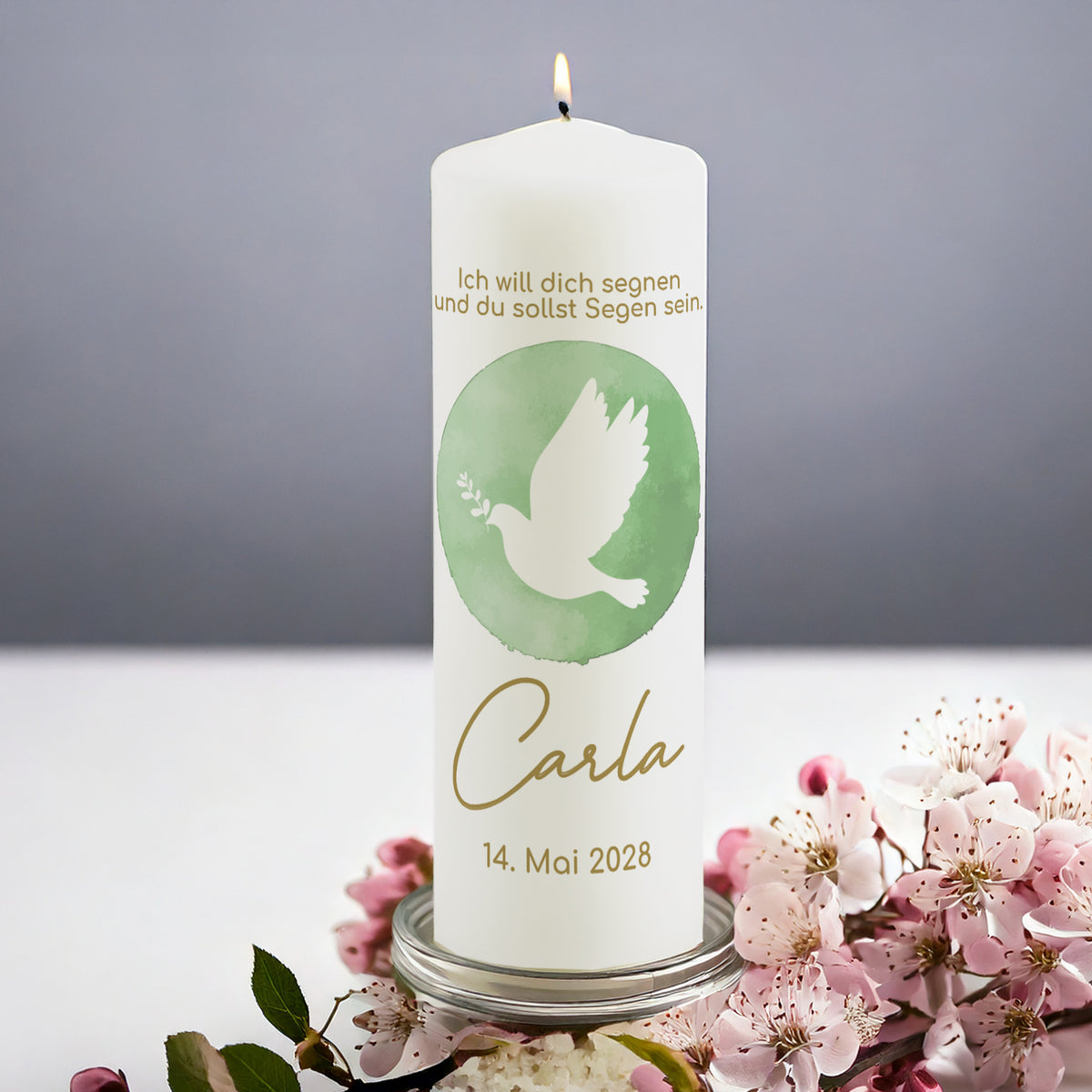 Personalisierte Kerze mit Taubenmotiv für religiöse Anlässe wie Konfirmation, Kommunion oder Taufe. Die Kerze zeigt eine weiße Taube mit Zweig auf grünem Aquarellhintergrund, ergänzt mit dem Namen "Carla" und dem Datum "14. Mai 2028" in goldener Schrift. Darüber steht der Segensspruch „Ich will dich segnen und du sollst Segen sein.“ Die brennende Kerze steht auf einem Glasuntersetzer, umgeben von rosa Blüten, vor einem dezenten grauen Hintergrund.